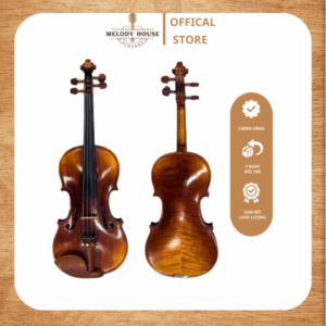 Đàn Violin Scottcao SYV-150