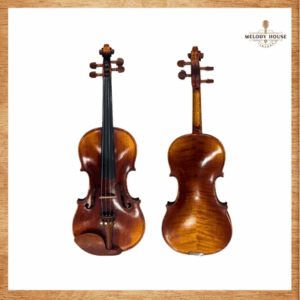 Đàn Violin Scottcao SYV-150