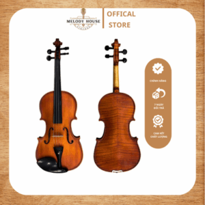Đàn Violin