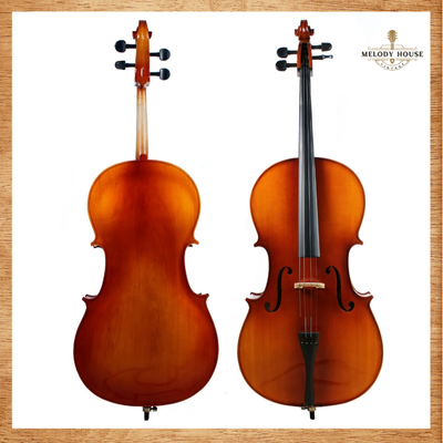 Đàn cello bao nhiêu tiền? 3 Đàn cello Acutis AHC1001 size 4/4 bao nhiêu tiền ?