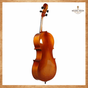 Đàn cello Acutis AHC1001 size 4/4
