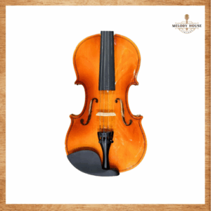 Đàn Violin 4/4 VT-56B