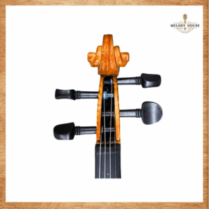 Đàn Violin 4/4 VT-56B