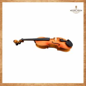 Đàn Violin 4/4 VT-56B