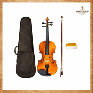 Đàn Violin 4/4 VT-56B
