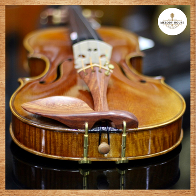 giới thiệu về đàn violin dưới 1 triệu