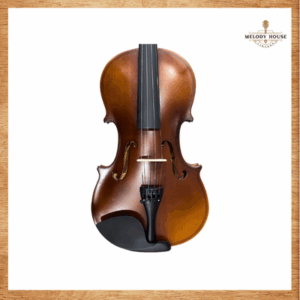 đàn Violin 4/4 VT68M