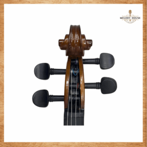 đàn Violin 4/4 VT68M