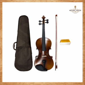 đàn Violin 4/4 VT68M