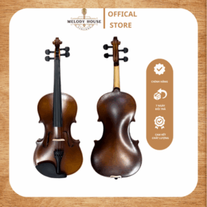 hình ảnh đàn Violin 4/4 VT68M