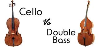 Giới thiệu Đàn cello và contrabass