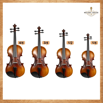 hình ảnh kích thước đàn violin