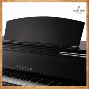 Đàn Piano Điện Apollo AU50