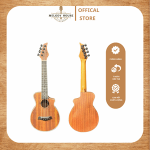 Đàn Ukulele Concert Tanglewood Twt1ce
