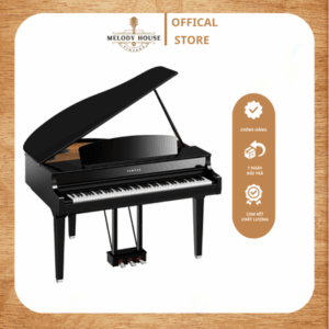 Đàn Piano