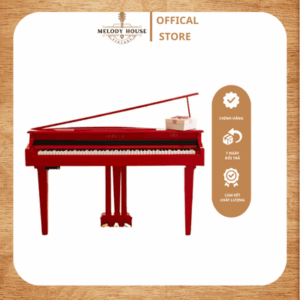 Đàn Piano Điện Apollo AG-10