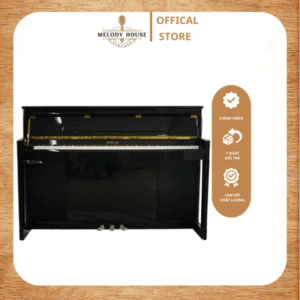 Đàn Piano Điện Apollo A1