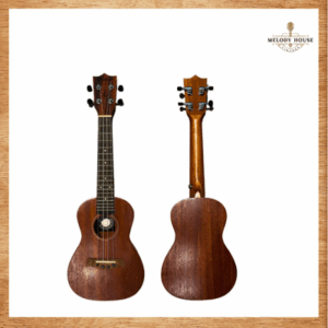 đàn Ukulele Concert giá bao nhiêu