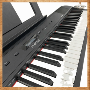 Đàn Piano Điện Apollo EP-130