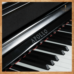 Đàn Piano Điện Apollo KP-88