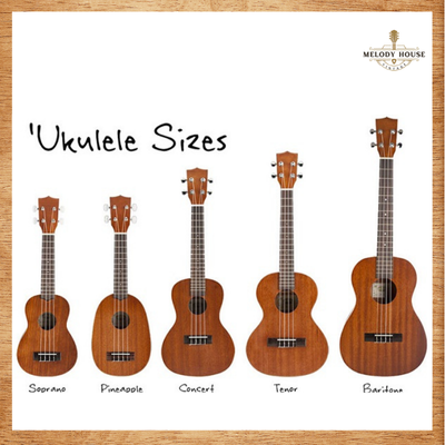 Đàn Ukulele Concert Giá Bao Nhiêu? Hướng Dẫn Chọn Đàn Phù Hợp Từ Melody House 3 đàn Ukulele Concert giá bao nhiêu