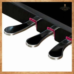 Đàn Piano Điện Apollo KP-88