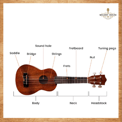 Đàn Ukulele có giống guitar không? Hình ảnh so sánh các loại đàn Ukulele phổ biến