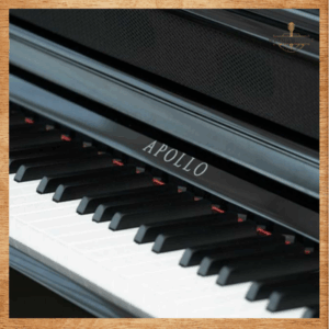 Đàn Piano Điện Apollo KP-88