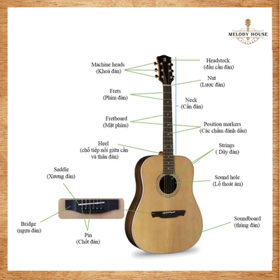 Đàn Ukulele Có Giống Guitar Không? So Sánh Dễ Hiểu Cho Người Mới Bắt Đầu 5 Đàn Ukulele có giống guitar không? Hình ảnh so sánh các loại đàn Ukulele phổ biến