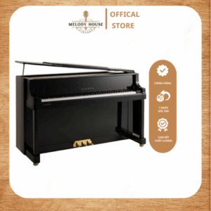 Đàn Piano Điện Apollo AU50