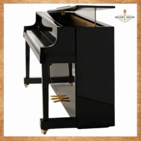 Đàn Piano và Organ Có Gì Khác Nhau? Nên Chọn Gì Khi Mới Bắt Đầu 2 Đàn Piano và Organ có gì khác nhau? Đàn Piano Điện Apollo AU50