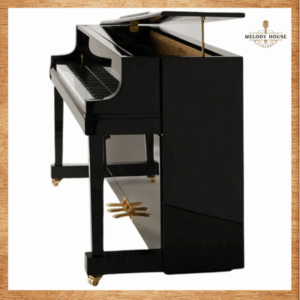 Đàn Piano Điện Apollo AU50