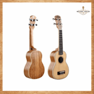 Bí Quyết Mua Đàn Ukulele Cho Người Mới Tập