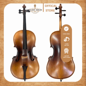 Đàn Cello Handmade