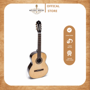 Đàn Guitar