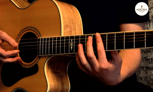 Cách Phân Biệt Các Loại Đàn Guitar - Hướng Dẫn Chi Tiết 5 Cách Phân Biệt Các Loại Đàn Guitar