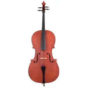 Đàn Cello