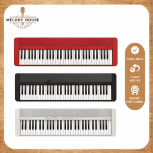 Đàn Organ Casiotone CT-S1