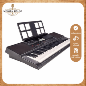Đàn Organ Casio CT-X700