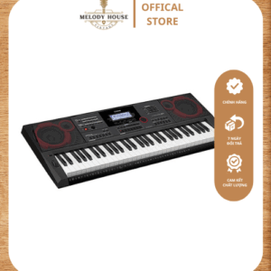 Đàn Organ Casio CT-X5000