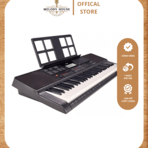 Đàn Organ Casio CT-X700