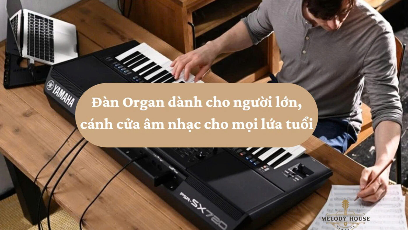 dan organ danh cho nguoi lon1