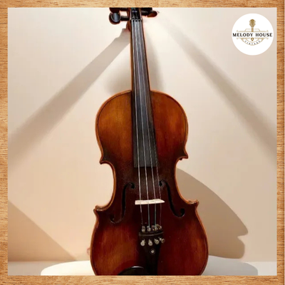 đàn violin có mấy dây