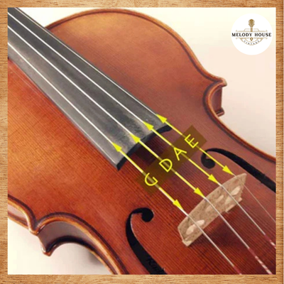 Đàn Violin Có Mấy Dây? Cấu Tạo Và Chức Năng Từng Dây 2 hình ảnh đàn violin có mấy dây
