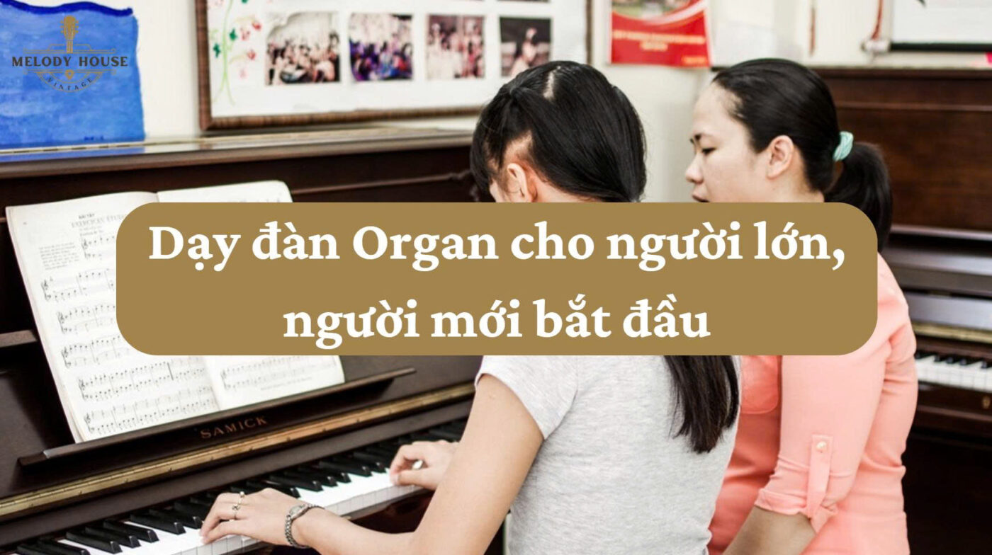 day dan organ danh cho nguoi lon4