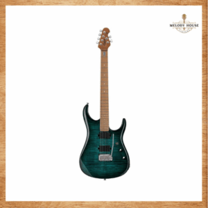 Đàn Guitar Điện