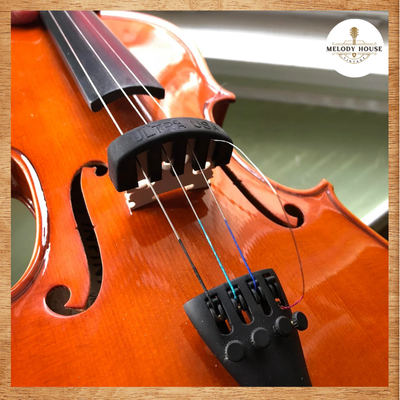 khi nào cần thay dây đàn violin