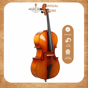 Đàn cello Acutis AHC1001 size 4/4