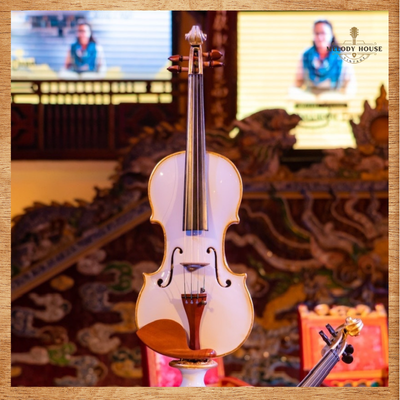 hình ảnh đàn violin vintage