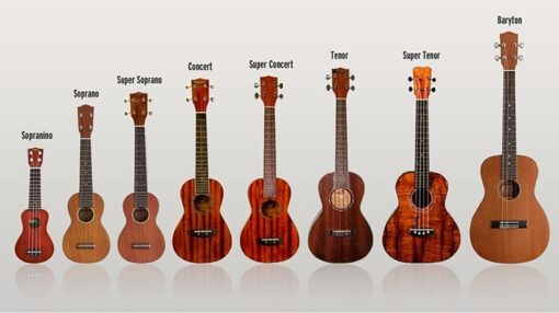 Học Đàn Ukulele Có Khó Không? Giải Đáp Chi Tiết Cho Người Mới Bắt Đầu 3 Có Nên Mua Đàn Ukulele Không? 10 Lý Do Khiến Bạn Sẽ Muốn Sở Hữu Ngay